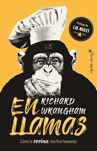 En Llamas: Cómo La Cocina Nos Hizo Humanos (ensayo)