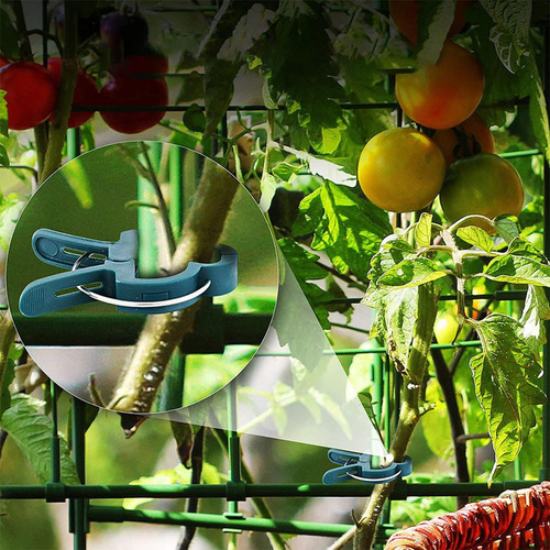 50 Piezas Clips Para Plantas Clips De Tomate Ligeros Para L