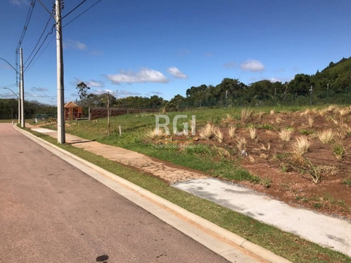 Terreno Em Vila Nova - El50874908