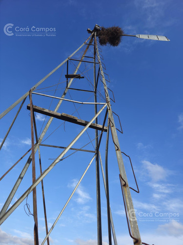 Se Vende Campo Ganadero De 3500 Ha En Mendoza, Argentina