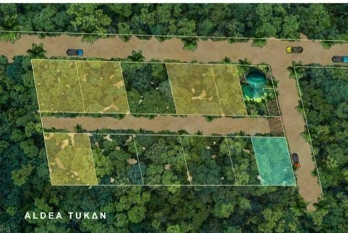 Imagen 8 de 9 de Terrenos En Venta En Av Coba- Tulum Km 9.6