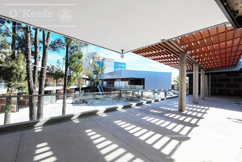 Imagen 9 de 10 de Nuevo Quilmes Plaza