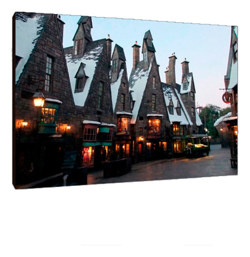 Cuadros Poster Harry Potter Lugares M 20x29 (gmg (9))