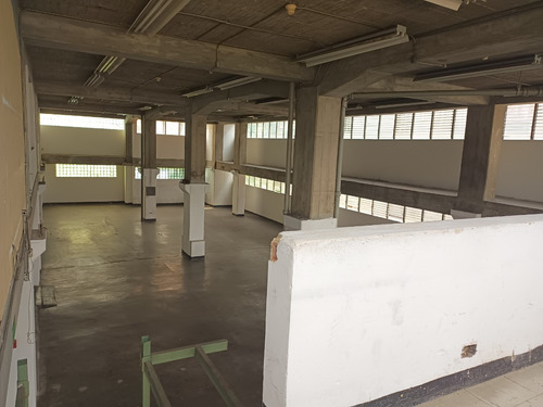 Alquiler Local Industrial Mas Mezzanina Doble Altura En Palo Verde En Piso Tg