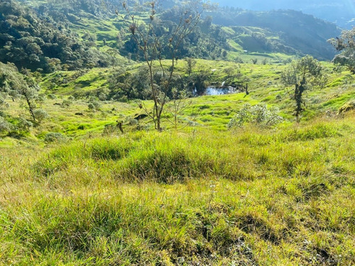 Se Vende Finca Ganadera/reserva/agrícola En Fómeque, Cund.