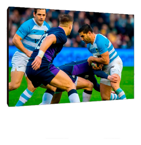 Cuadros Poster Deportes Rugby Pumas L 29x41 (pms (5))