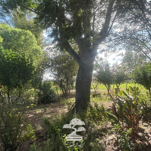 Venta Chacra Con Casa Y Galpones Florida Mp