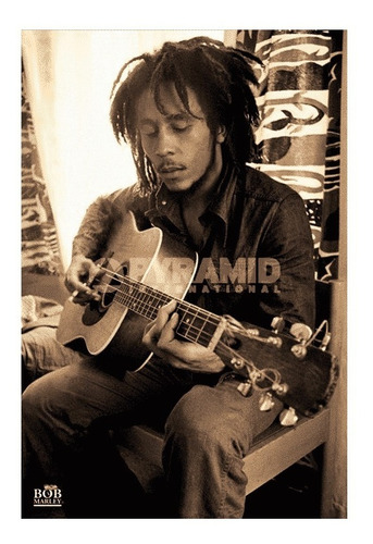 Lote De 140 Posters Originales De Bob Marley - Sepia