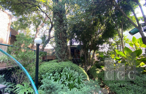 Imagen 6 de 18 de Asombroso Terreno, Oportunidad Para Desarrolladores Inversio