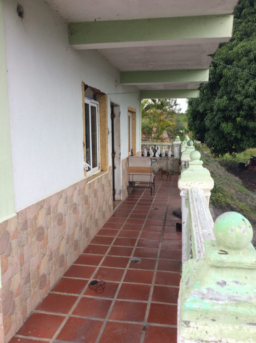 Imagen 6 de 21 de Finca Recreacional Con Potencial Productivo En Central Tacarigua.
