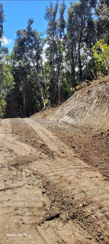 Terreno Único 10 Mil M2. Playa Propia Orilla Lago Huillinco