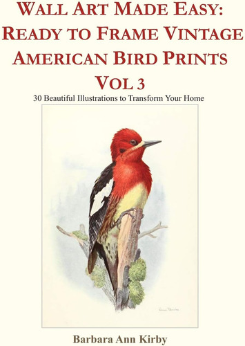 Libro: Wall Art Made Easy: Ready To Frame Vintage American B