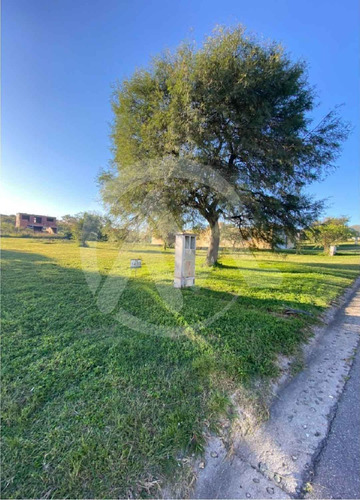 Imagen 8 de 8 de Venta Lote La Arbolada