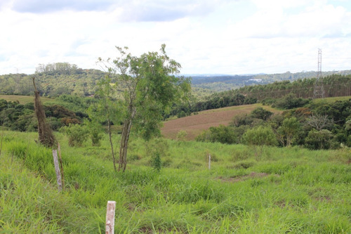 Imagem 6 de 16 de Terreno De 500m² Com Escritura E Matrícula. Localizado A 10 Minutos Do Centro