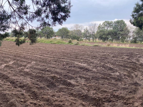 Imagen 3 de 6 de Terreno Con Potencial Comercial, Sólo Metros A La Carretera Apizaco-santa Cruz!!