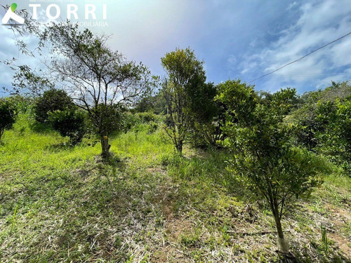 Imagem 23 de 30 de Chácara Á Venda 14.000,00 Metros No Bairro Dos Luz - Ch00418 - 70503143