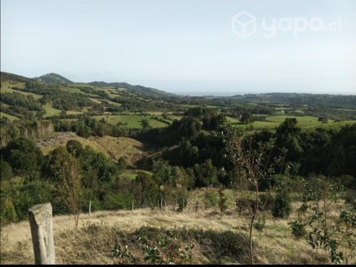 Terreno 3 Hectareas En Sector Aucaco Ancud