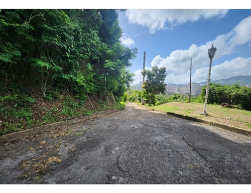 Vendo Casa 1540m2 Los Campitos 3264