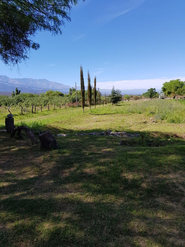 Venta Quinta Con Estanque Propio