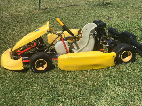 Karting Para Niño Marca M101 Con Motor 4t Niwa
