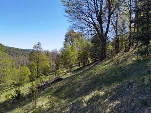 Terreno 5.000 M2 En Condominio La Helvetia, Malalcahuello