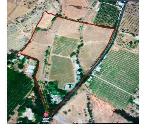 Oportunidad Venta De Campo, Viñedos - Curacaví