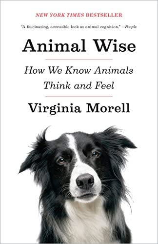 Animal Wise: How We Know Animals Think And Feel, De Morell, Virginia. Editorial Broadway Books, Tapa Blanda En Inglés