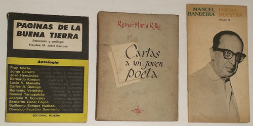 (3)cartas A Un Joven Poeta-rilke/paginas De La Buena Tierra