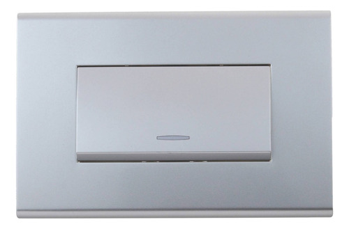 Interruptor Simple (9/12) 10 A Gris