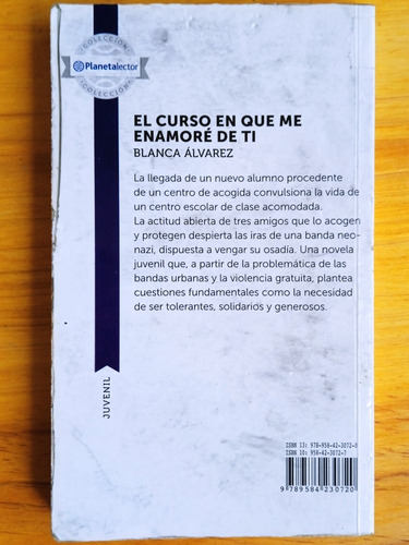 El Curso En Que Me Enamoré De Ti / Blanca Álvarez / Planeta (Usado)