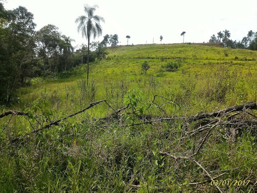 Imagem 10 de 12 de Vende Área Industrial Rodovia Presidente Dutra-sp 179.000m2