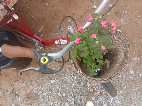 Imagem 6 de 10 de Food Bike