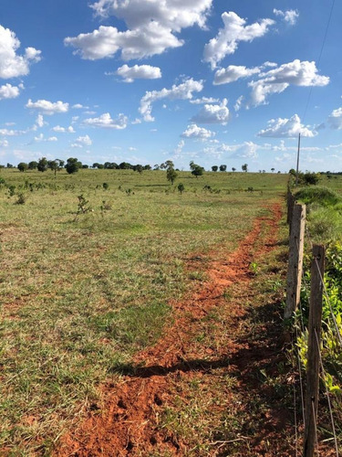 Imagem 9 de 13 de Fazenda Para Venda Em Nova Alvorada Do Sul, Rural - Fazgu 600_1-1946712