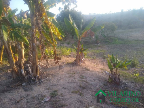 Imagem 8 de 13 de Sítios Fazendas E Terrenos Em Bom Jesus Do Amparo - 2801
