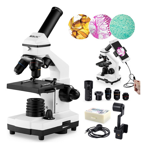 Microscopio Para Adultos Y Niños, 100x-2000x  Microscopio Co