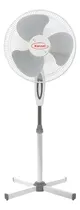Comprar Ventilador De Pie Kassel Ks-vp1 40 W