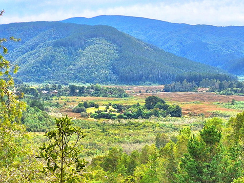 Vendemos En Valdivia 2,14 Hectareas En Altos De Punucapa
