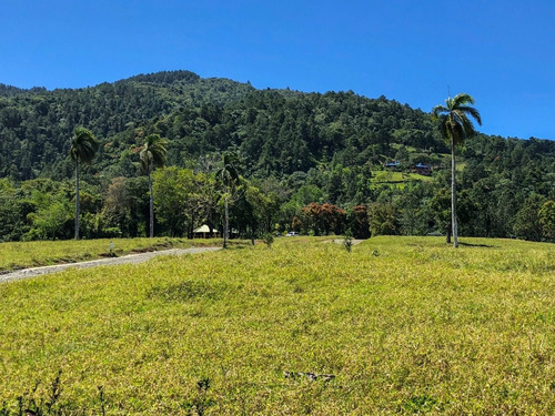 Solar En Venta En Jarabacoa Con Vista Panorámica A Las Montaña Wps18