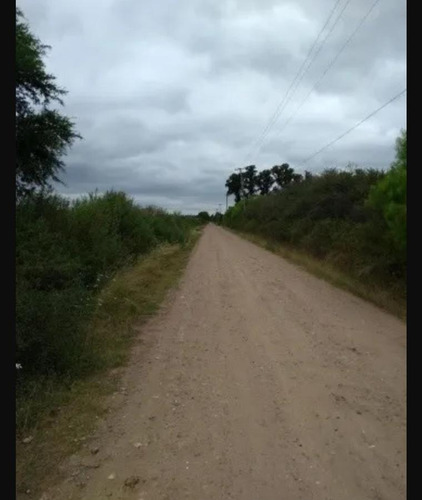 Imagen 4 de 5 de Terreno - Matheu