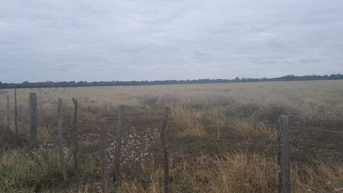 Vendo Finca En Tolloche (recibo Permutas)