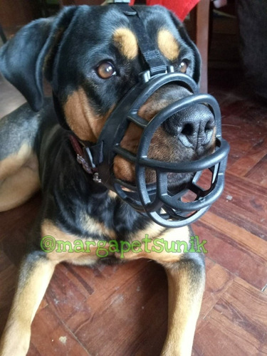 Bozal Para Pastor, Pitbull, Rottweiler