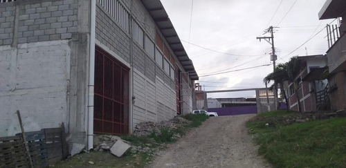 Imagen 7 de 7 de Bodega Industrial - Villa Rosita