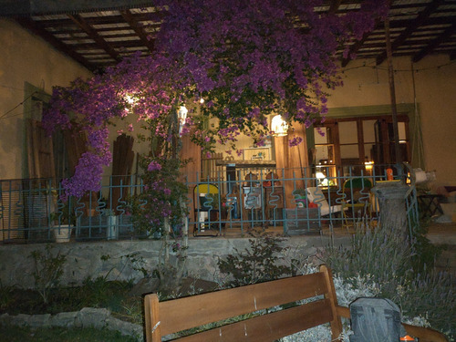 Alquilo Casa De Campo En Salto. Chacra Santa Ángela