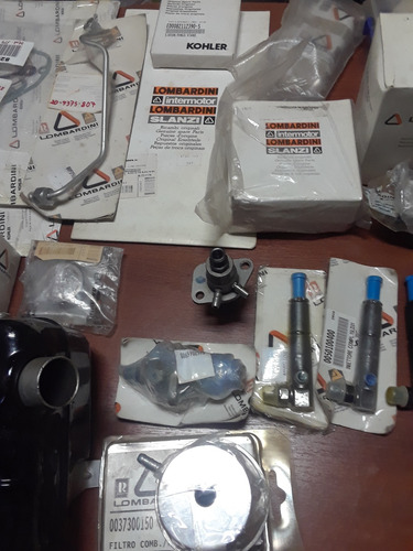 Repuestos Lombardini Diésel Original