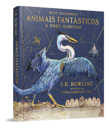 Combo Biblioteca Hogwarts Ilustrado