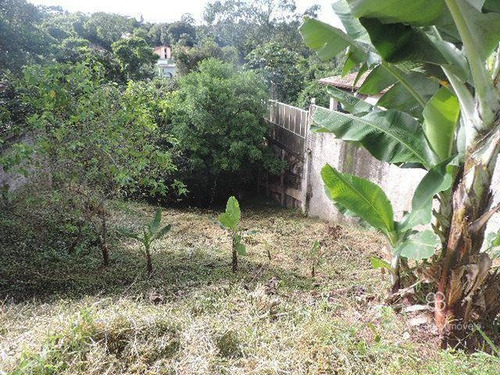 Imagem 9 de 16 de Terreno À Venda, 540 M² Por R$ 300.000,00 - Fazendinha - Carapicuíba/sp - Te0459