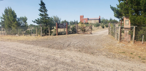 Alquiler Casa De Campo En Puerto Madryn Hasta 7 Personas