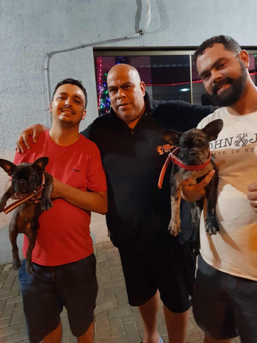 Remis Para Mascotas Con Su Dueño - Viaje Con Mascotas