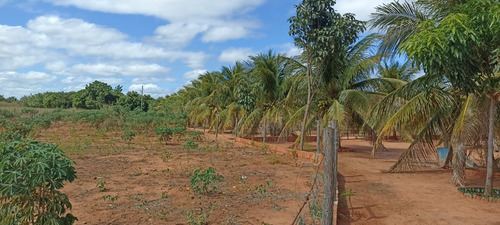 Sítio Com 2 Casas, Água, Internet E Energia - Manga-mg - Ideal Para Lazer Ou Criação