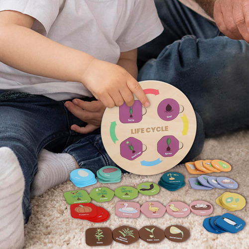Kit De Tableros De Rompecabezas De Ciclo De Vida Montessori,